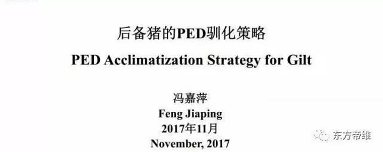 东方帝维直播李曼大会，干货都在这里！！！