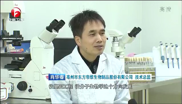 东方帝维质量总监肖华春接受安徽电视台采访