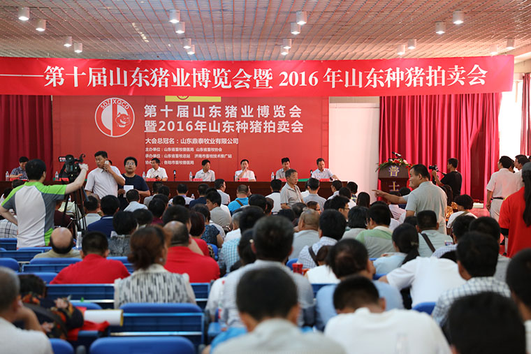 东方帝维参加“第十届山东猪业博览会暨2016年山东种猪拍卖会”