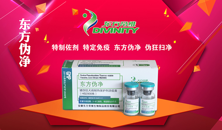 爆品暴动 东方伪净大卖