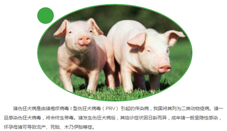 东方帝维健康万场行——东方伪净NO1001案例佐证