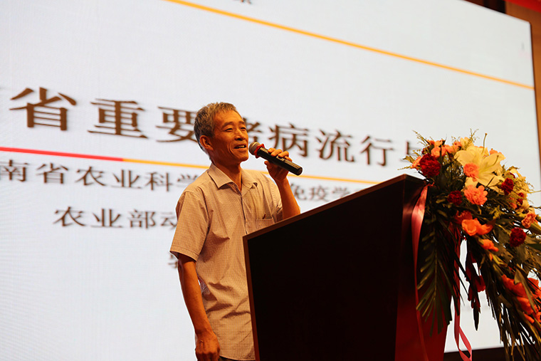 伪狂犬变异导致净化难？“124”方案效果显著！