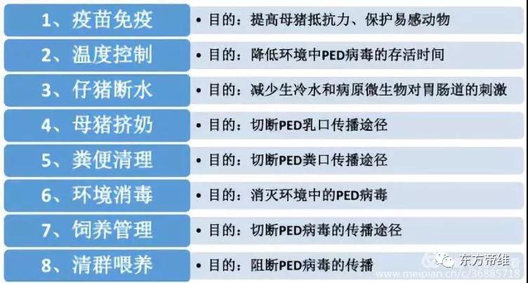 干货!「李曼大会」猪流行性腹泻报告云集