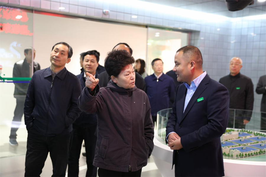 安徽省人大常委副主任沈素琍与亳州市委书记汪一光一行莅临东方帝维参观调研