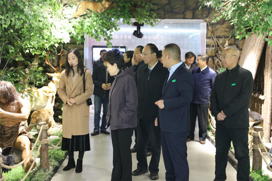 安徽省人大常委副主任沈素琍与亳州市委书记汪一光一行莅临东方帝维参观调研