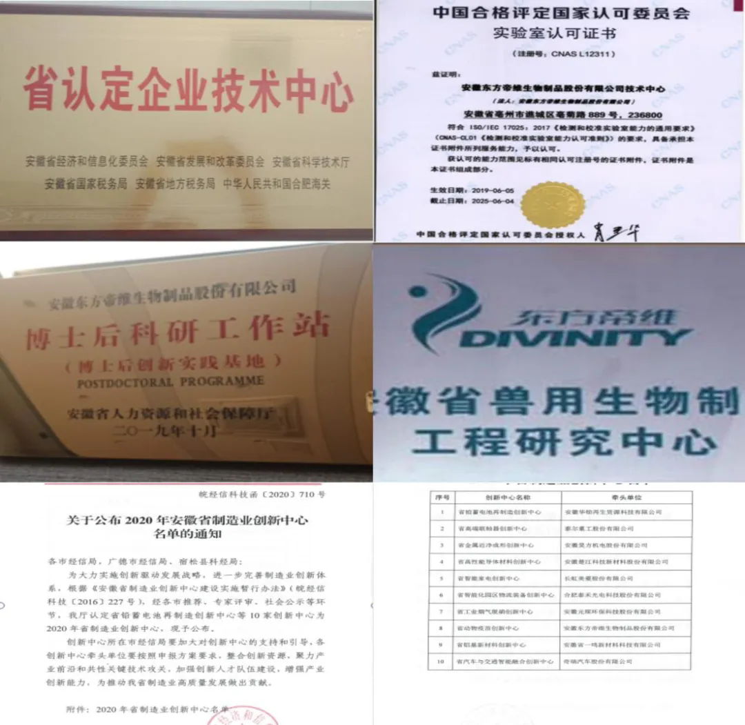 640.webp (2).png